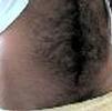 foto do perfil curiousguy
